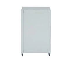 Kari Gray 2-Drawer Rolling Filing Cabinet -Home Sale Store 810543238 4