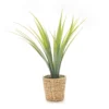Green Artificial Cymbidium Plant With Brown Woven Pot