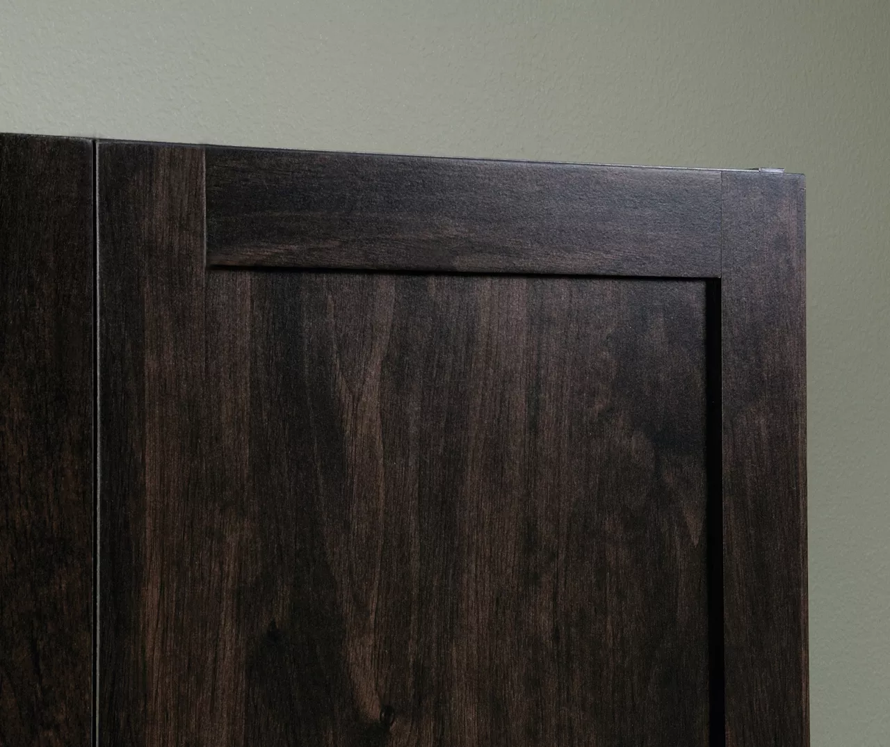 Sauder 2-Door Storage Cabinet 4 Sauder 2-Door Storage Cabinet - Image 4