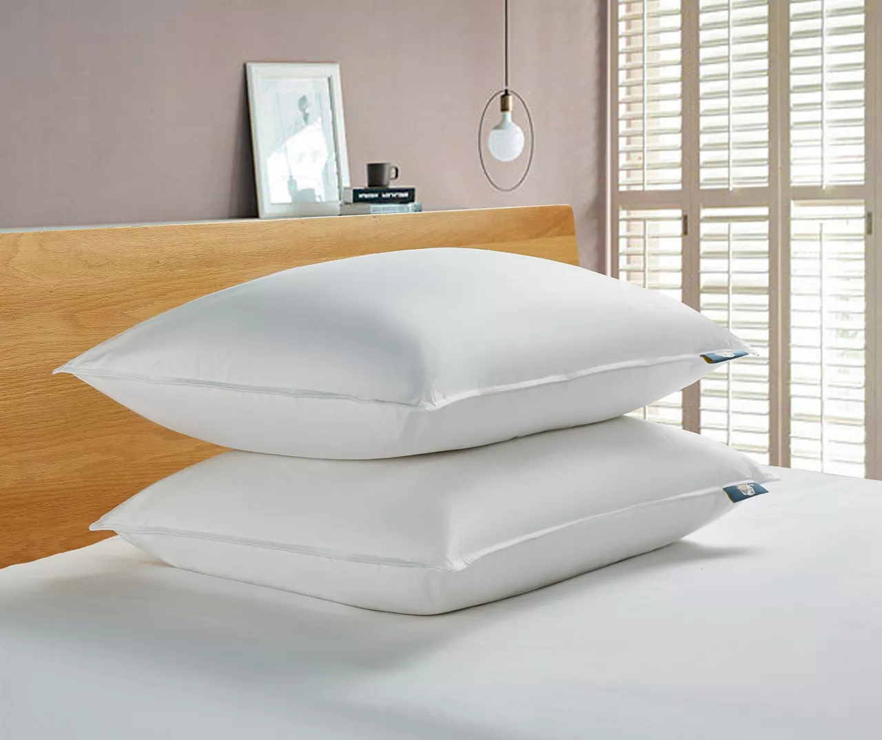 Serta White Medium-Firm Cotton-Down Pillow, 2-Pack 1 Serta White Medium-Firm Cotton-Down Pillow, 2-Pack